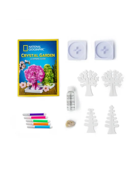 Nat00002 National Geographic Kristal Bahçe Kiti - Trcrysgrdn +8 Yaş