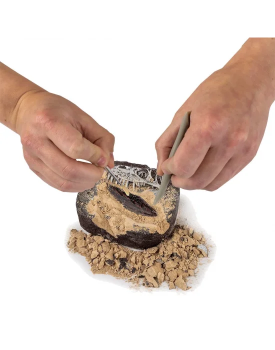 Nat06002 National Geographic Dino Kazı Kiti - Rtngdıno2 +8 Yaş