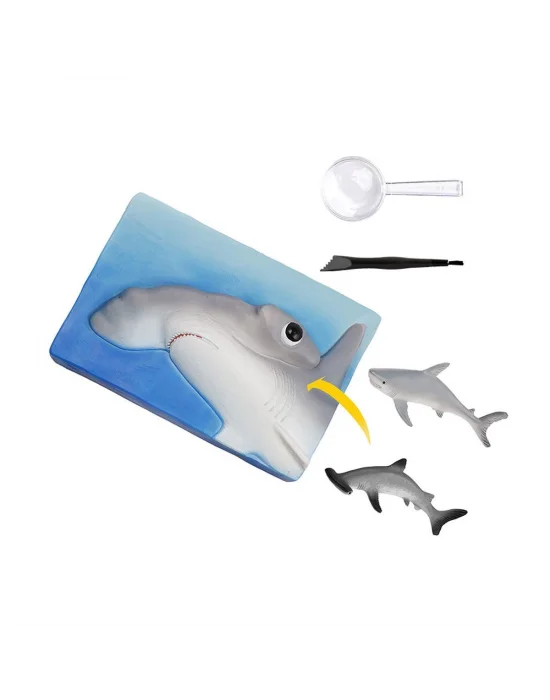 Nat07002 National Geographic Köpek Balığı Bulma Kiti - Trhamshdıg +6 Yaş