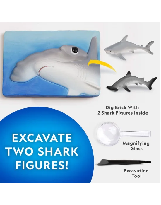 Nat07002 National Geographic Köpek Balığı Bulma Kiti - Trhamshdıg +6 Yaş