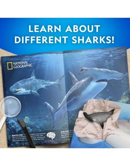 Nat07002 National Geographic Köpek Balığı Bulma Kiti - Trhamshdıg +6 Yaş