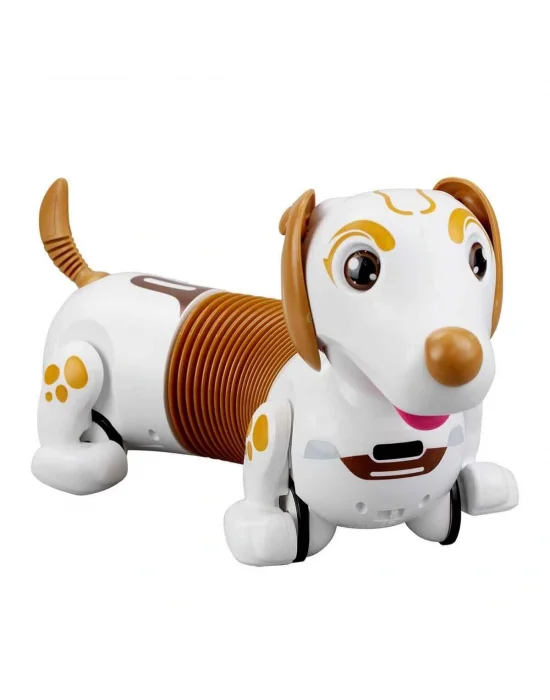 Sıl 88740 Robo Dash D Asorti