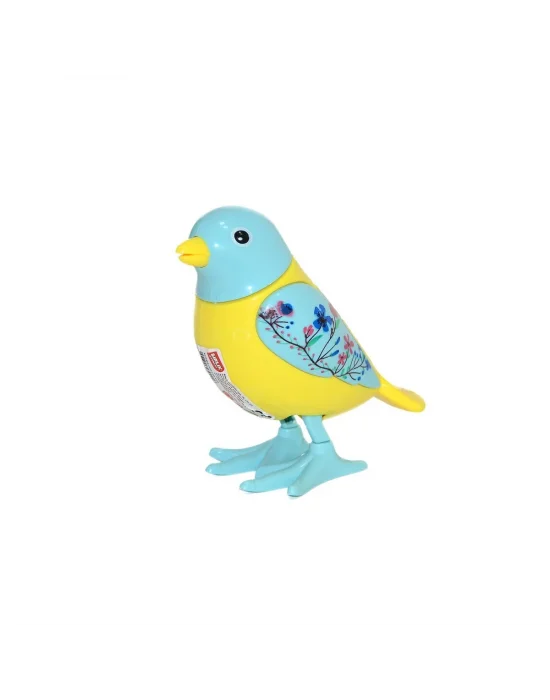 Urt005-07 Kurmalıgiller Kuş