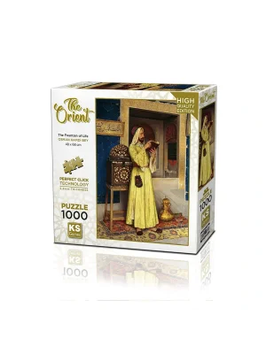 20667 Puzzle 1000 Wonderful Fountain Of Life