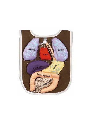 And-5011 Organ Önlüğü