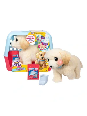 L0100000 Llp Yavru Köpek İyileşiyor - 26679