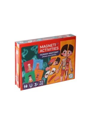 Lc986 Manyetik Aktivite İnsan Anatomisi -laço