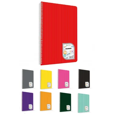 Çınar Defter Spiralli (Telli) Pp Kapak 2 Ortalı 96 Yaprak Çizgili A5 Küçük