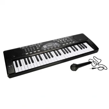 S00054916 -sun-jnf-ech-org Mikrofonlu 49tuş