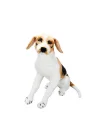 01409 Oturan Beagle Köpek Peluş 68 Cm