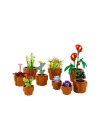 10329 Lego Botanical Collection - Minik Bitkiler 753 Parça +18 Yaş