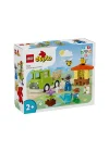 10419 Lego Duplo Arı Bakımı 22 Parça +2 Yaş