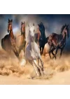 20769 Puzzle 1000 Wild Horses