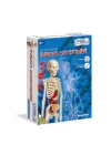 64297 İnsan Anatomisi - Bilim Ve Oyun +8 Yaş