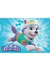 91522 Paw Patrol Skye Ve Everest 2x24 Parça Ravensburger Puzzle
