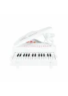 Bao-1504b 31 Tuşlu Mini Piano Mp3 -vardem