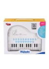 Bao-1505a Mikrofonlu Mini Piano 24 Tuş Mp3 Çalar