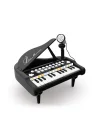 Bao-1505a Mikrofonlu Mini Piano 24 Tuş Mp3 Çalar
