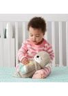 Fxc66 Fisher-price® Uyku Arkadaşı Su Samuru