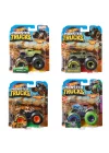 Fyj44 Hot Wheels, Monster Trucks 1:64 Arabalar
