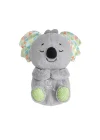 Grt59 Fisher-price® Uyku Arkadaşı Koala / +0