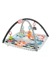 Hbp41 Fisher-price® Neşeli Hayvanlar 3ü1 Arada Jimnastik Merkezi