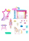 Hnt67 Barbie A Touch Of Magic Chelsea Ve Pegasus Oyun Seti