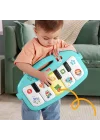 Hwy49 Fisher-price Neşeli Hayvanlar Piyanolu Jimnastik Merkezi