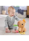 Hyr54 Ffisher-price Yumuşak Kapibara