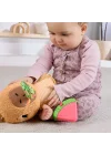 Hyr54 Ffisher-price Yumuşak Kapibara