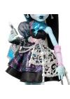 Jbg75 Monster High Scary Sweet Birthday Frankie