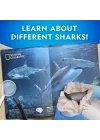 Nat07002 National Geographic Köpek Balığı Bulma Kiti - Trhamshdıg +6 Yaş
