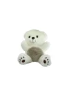 Pb30453-22s1 Peluş Asorti Ayı Ve Panda 23 Cm