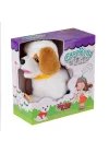 Pft-b019 Yürüyen Tasmalı Peluş Köpek