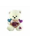 Pjh2322 Peluş Kalpli Ayı 30 Cm