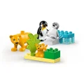 10442 Lego Duplo Penguen Ve Aslanlar 10 Parça +2aş