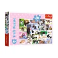17332 Kedi Dünyası 60 Parça Puzzle -trefl Puzzle