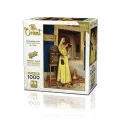 20667 Puzzle 1000 Wonderful Fountain Of Life