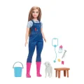Hrg41 Barbie 65.yıl Deluxe Kariyer Bebekleri