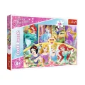 Puzzle-14294 Princess 24 Parça Maxi Çocuk Puzzle