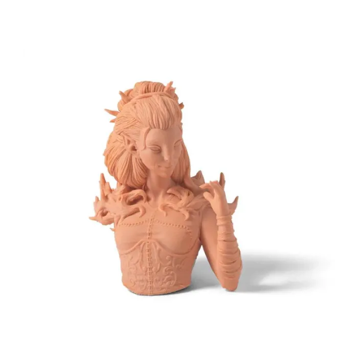 Phrozen Mud-Like 0.5 kg UV Reçine - Mercan Rengi