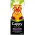 Cappy Karışık Bahçe Nektarı 200 ml