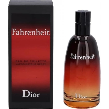 Dior Fahrenheit EDT 100 ml Erkek Parfüm