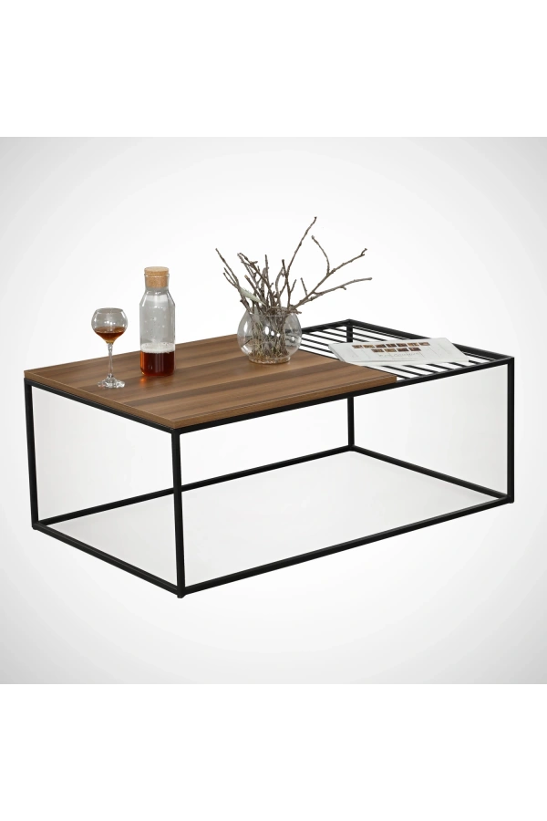 Pasific Home Zinus Metal Orta Sehpa, Ceviz