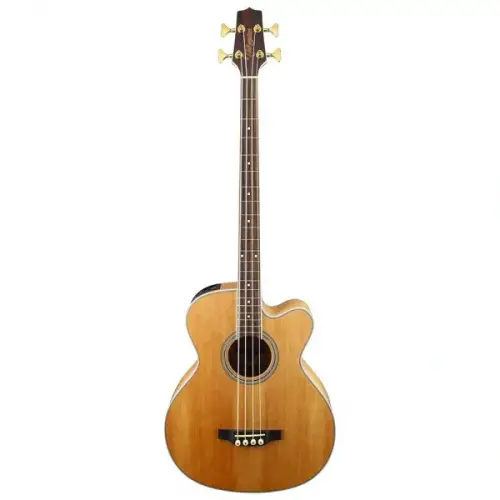 Akustik Bas Gitar