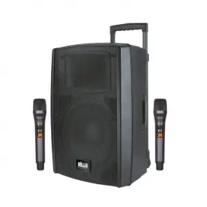 Wöller W-1230 DSP 12 inç Mobil Hoparlör | 400W Hoparlör | Çift El Kablosuz Mikrofonlu | USB, Bluetooth