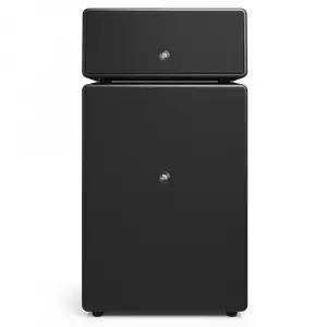 Audio Pro Drumfire W Black Multiroom Akıllı Ev Hoparlörü