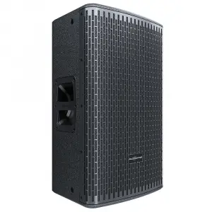 Audiocenter GT512P 12 inç Pasif Hoparlör