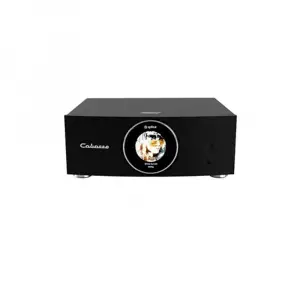 Cabasse Abyss Wifi Stream Entegre Amplifikatör