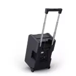 LD Systems ANNY 10BPH 2 B5 Taşınabilir PA Sistemi, Akülü Mobil Hoparlör, Çift Mikrofon